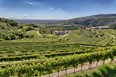 Hotel Valpolicella International | San Pietro in Cariano | Galerie 56