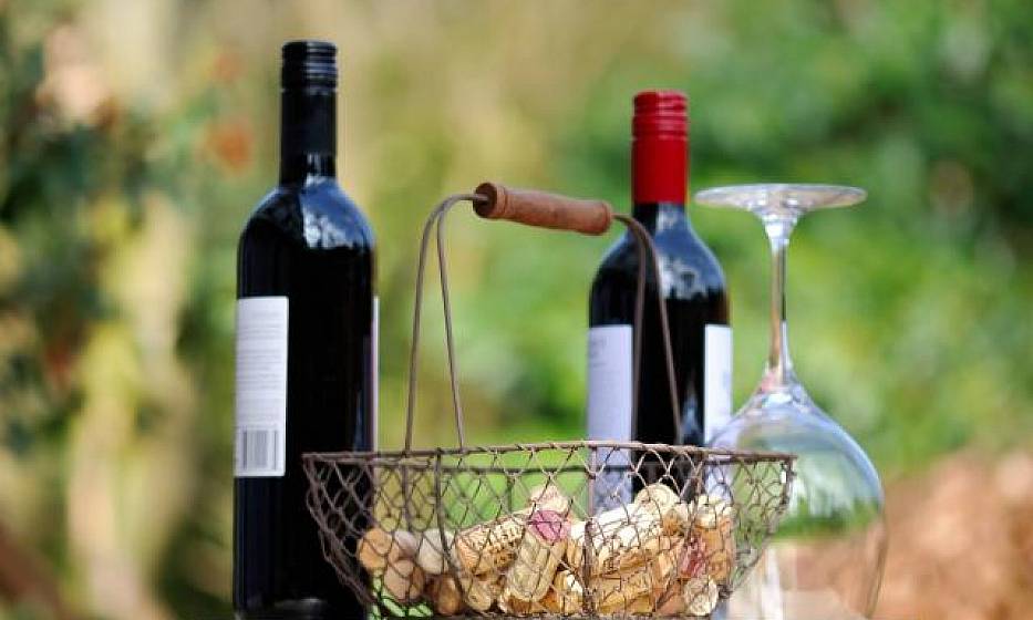 Hotel Valpolicella International | San Pietro in Cariano | Pacchetto WINE EXPERIENCE